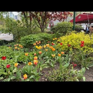 Meet your Posher, Jenny